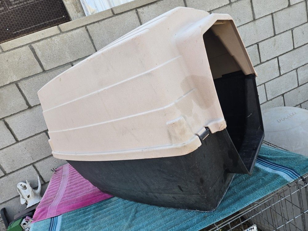 Dog house 