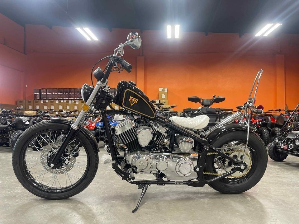 Naja 250 Chopper Style Street Motorcycle On Sale || V Twin Type Engine With EFI