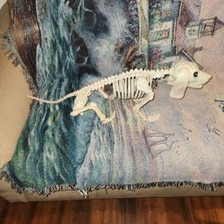 Skeleton Doggie