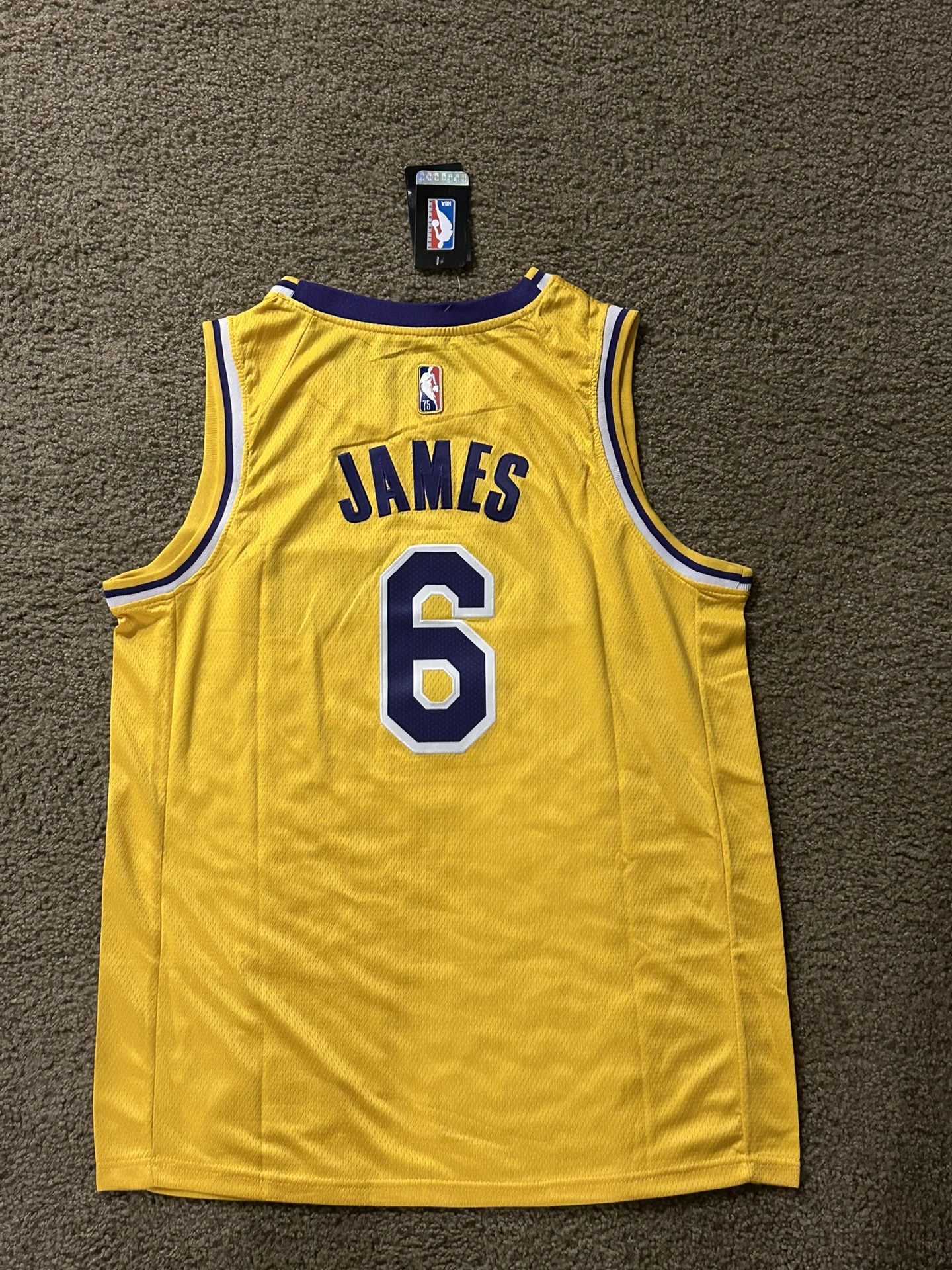 Nike Swingman Lakers James 6