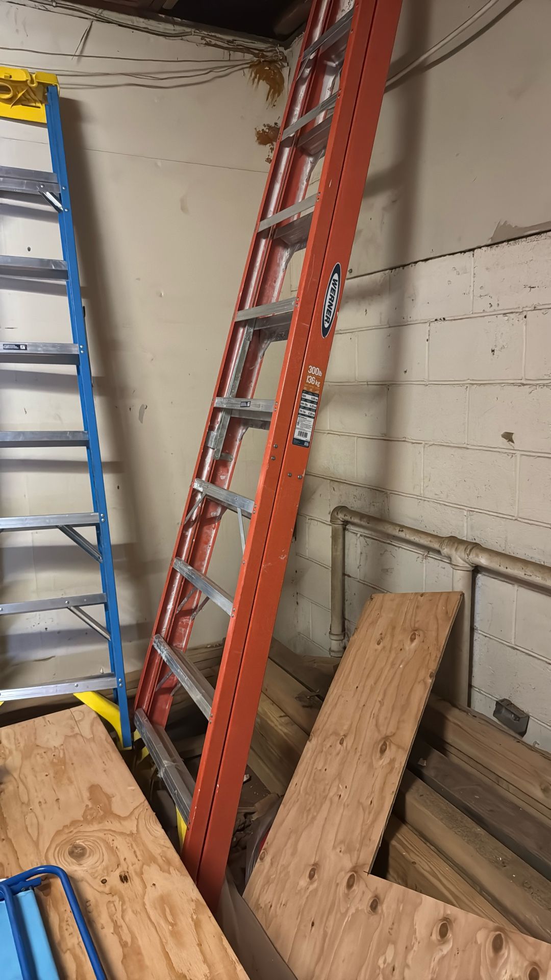 Werner 10’ Ladder
