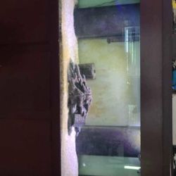 Tank And Stand 210 Gallon 