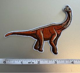 Dinosaur Patch NEW