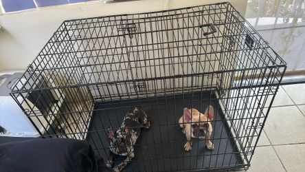 Dog cage XL frenchies