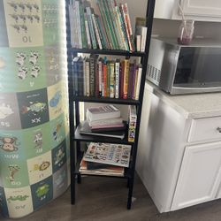 Ladder Book Shelf 