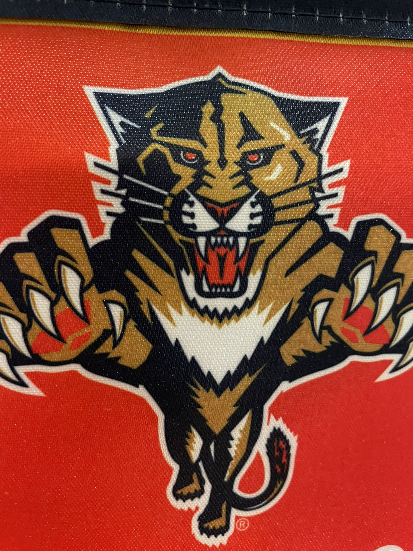 Panthers 20yr /Club Parking Pass  Maroon Lots see Map 