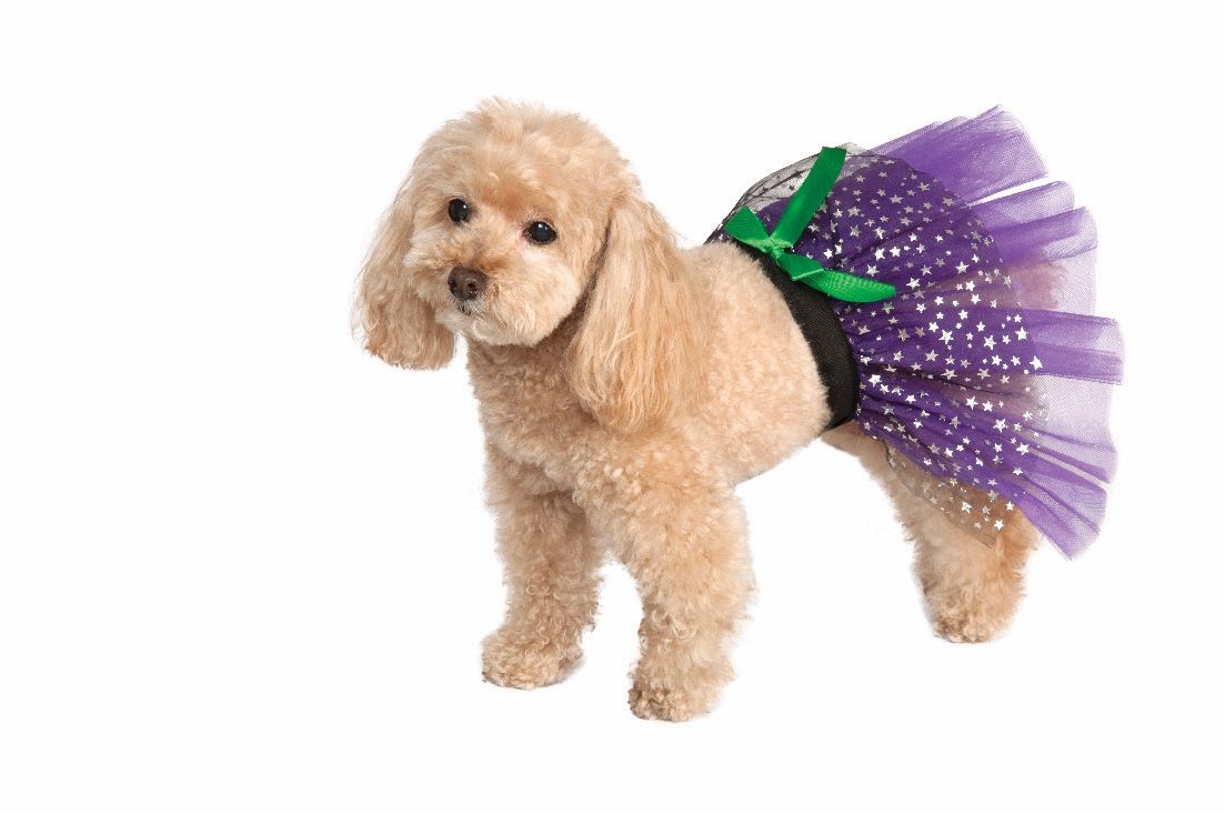 Rubie’s Pet Shop Boutique Purple Halloween Dog Cat Pet Dress Tutu S/M & M/L