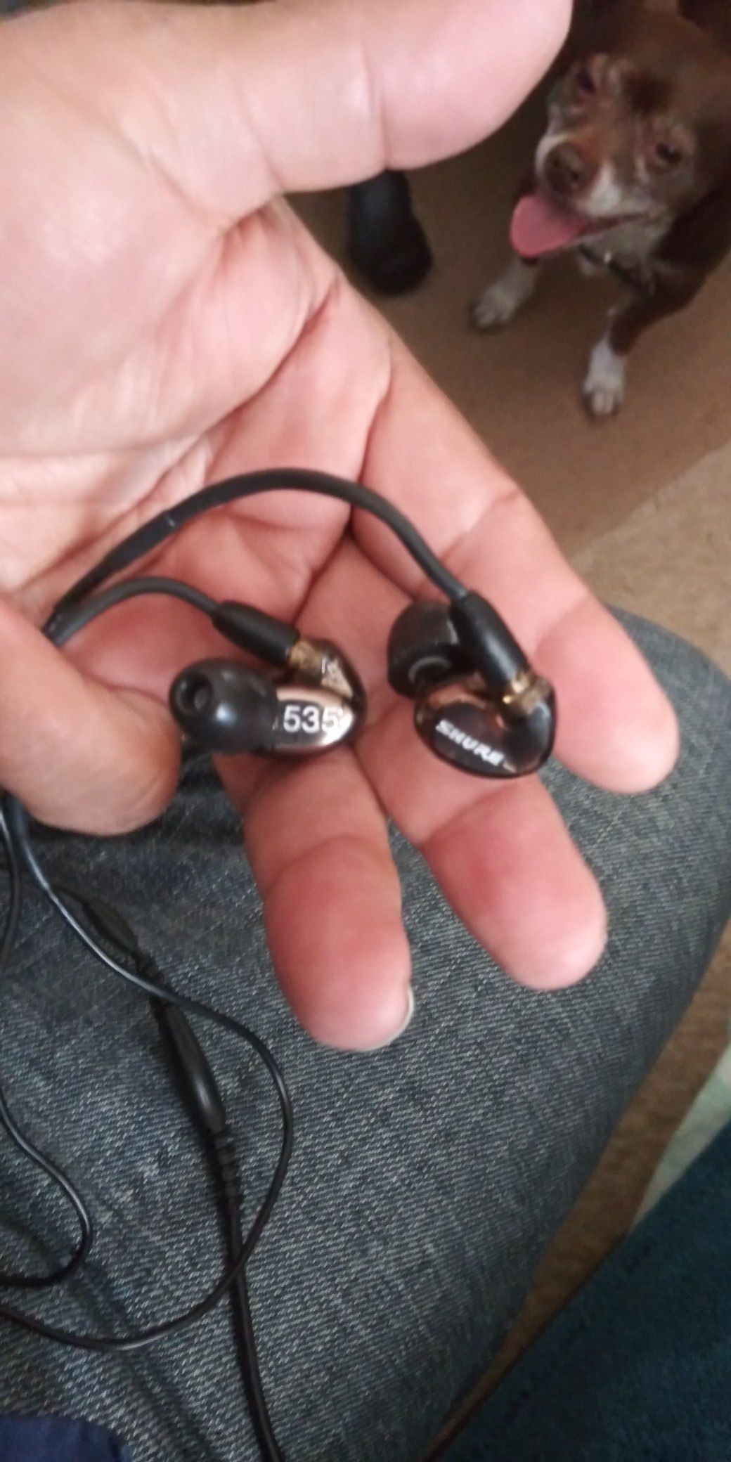 Sony cordless or corded professional earbuds