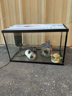 10 gallon aquarium fish tank premium black silicon with filter, decors and new lid