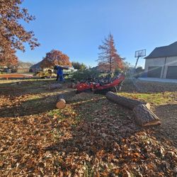 Stump Grind 