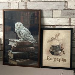 Harry Potter Wall Decor Like New $15 For Both