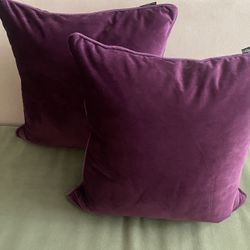 Set Of 2 Decorative Purple Velvet Down Pillows 