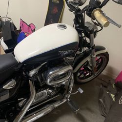 Harley!