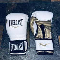 12 oz Boxing Gloves 