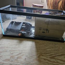 Fish Tank With Filter 