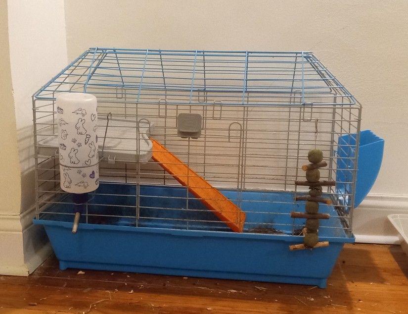 Guinea Pig/Rat Cage