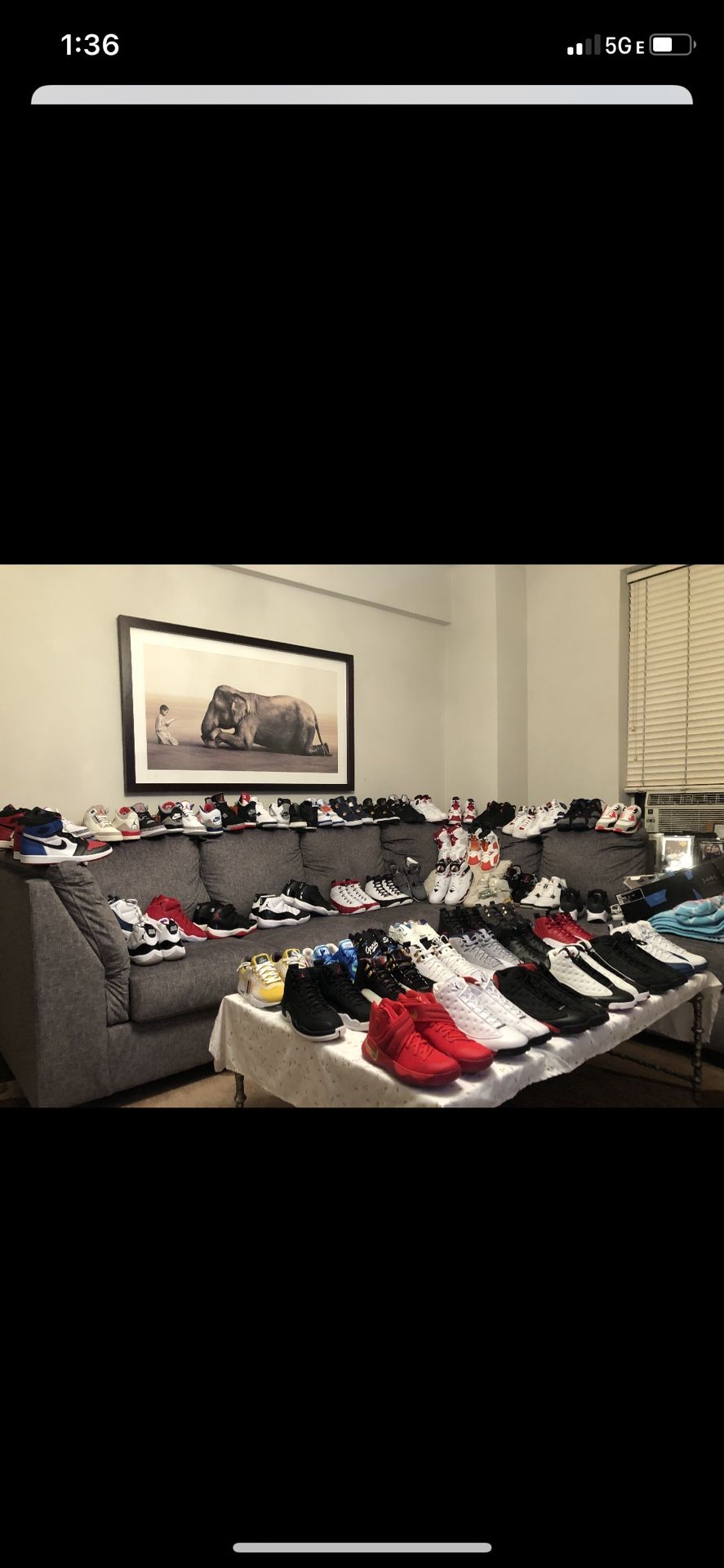 Sneaker collection, DS Size 8.5 All Exclusives