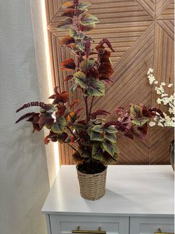 Fake Plant