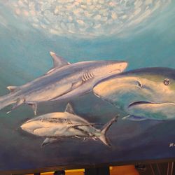Bull Sharks