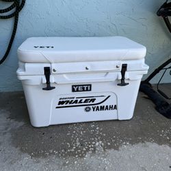 Yeti 45 With Yeti boat Cushion