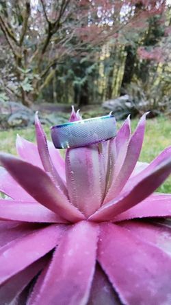 Stainless Steel Ring