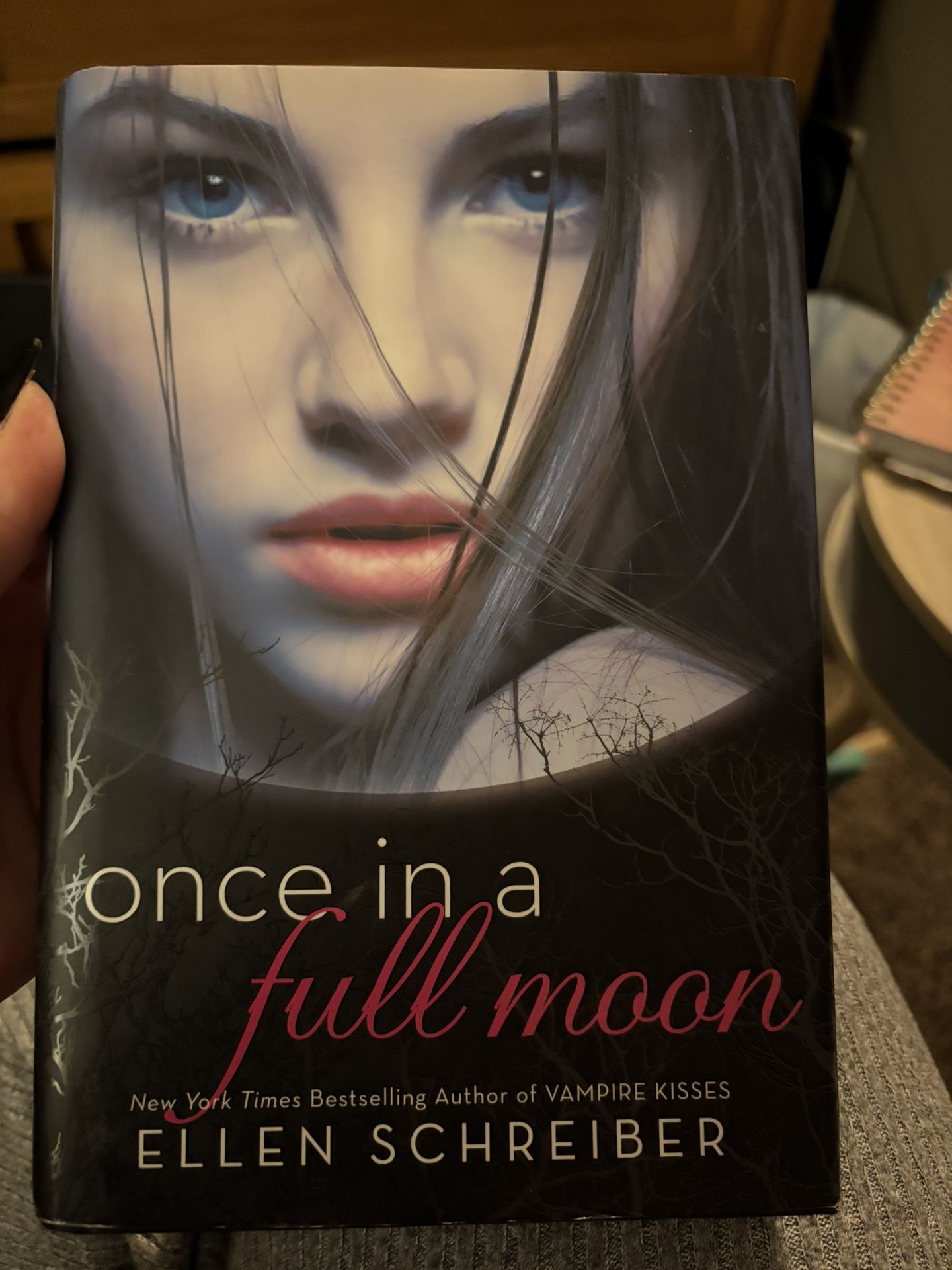 Once In A Lifetime By Ellen Schreiber.