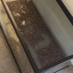 40 Gallon Glass Breeder Tank