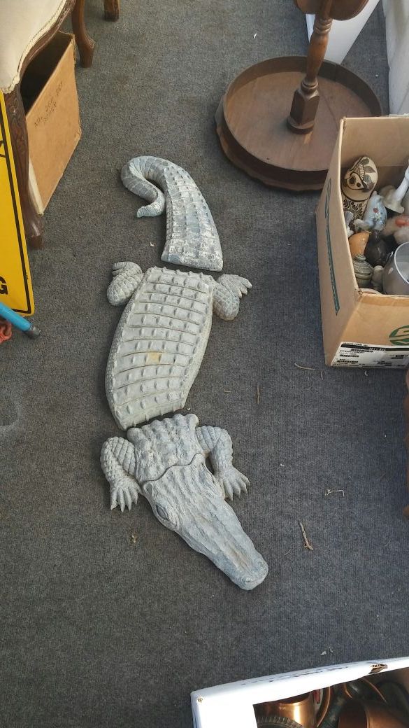 Alligator Stepping stones
