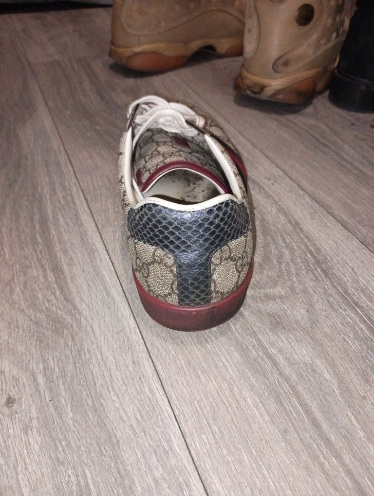 Gucci shoes