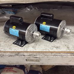 Weg  Electric Motor