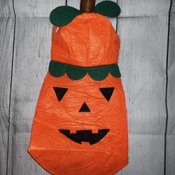 Dog pumpkin Halloween Costume