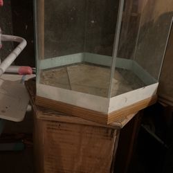 Fish Tank 
