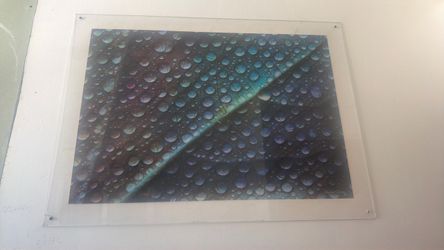 Damon Clark print