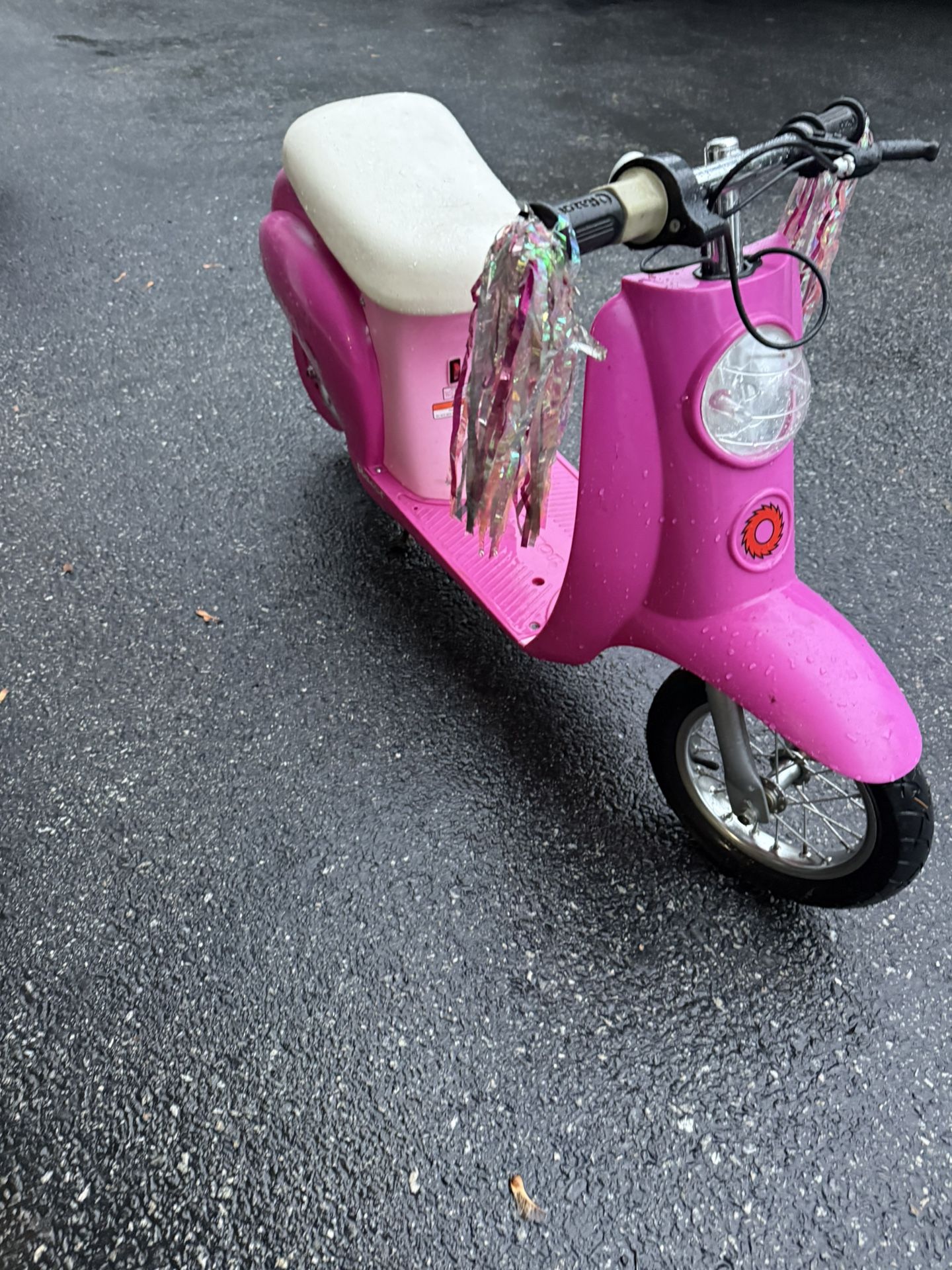 Electric Scooter 