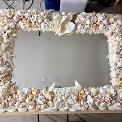 Custom Made Shell 🐚 Mirrors 