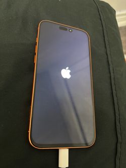 17 Pro Max