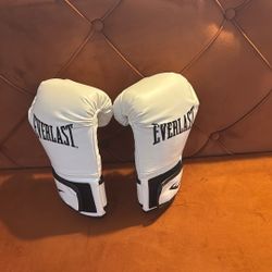 Boxing Gloves Everlast 