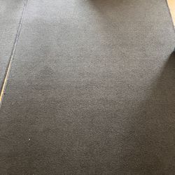 Dark Blue Carpet 