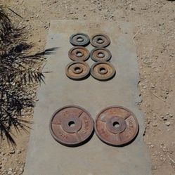 Olympic Weights 110lbs