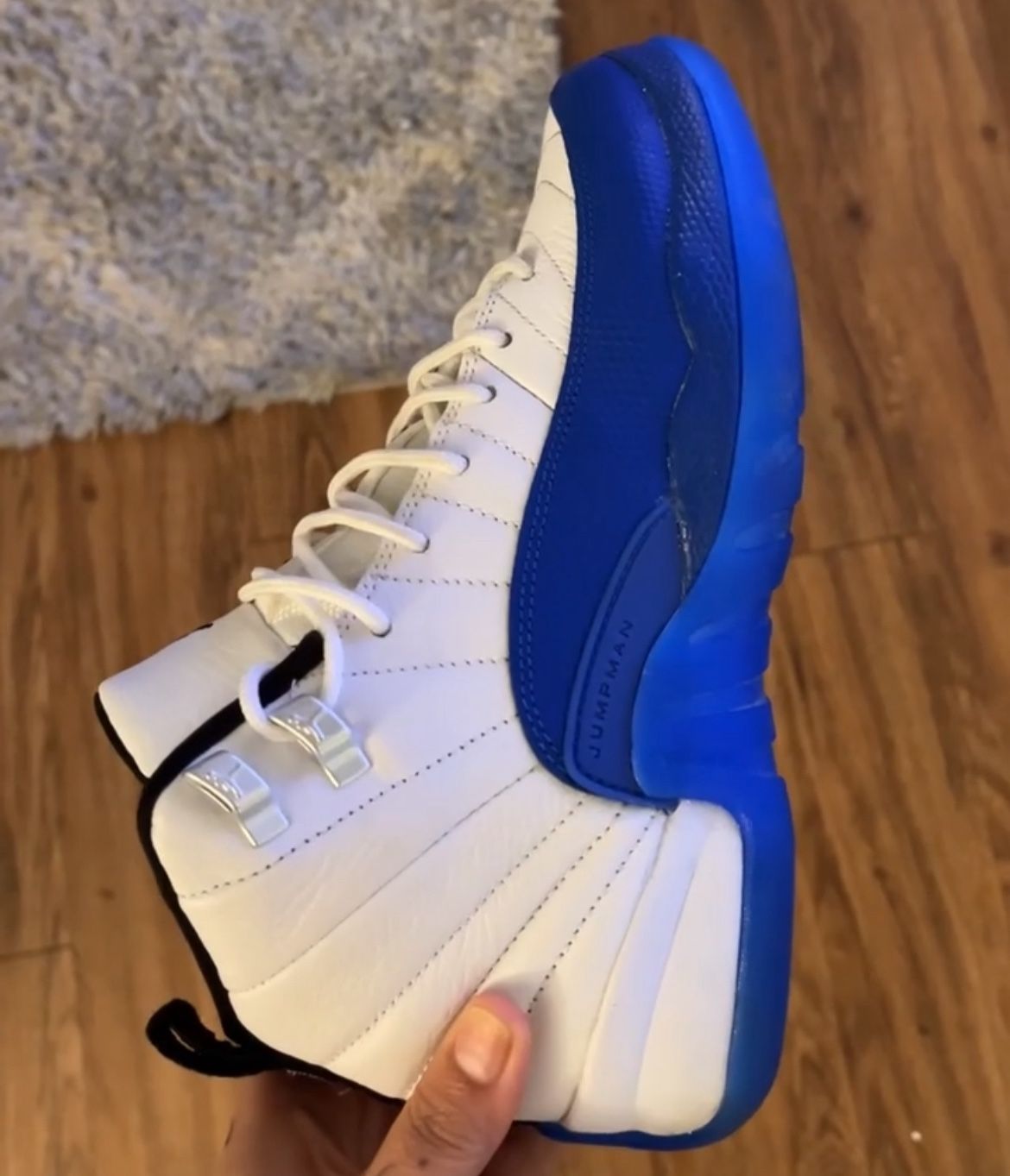 Blueberry Jordan 12s