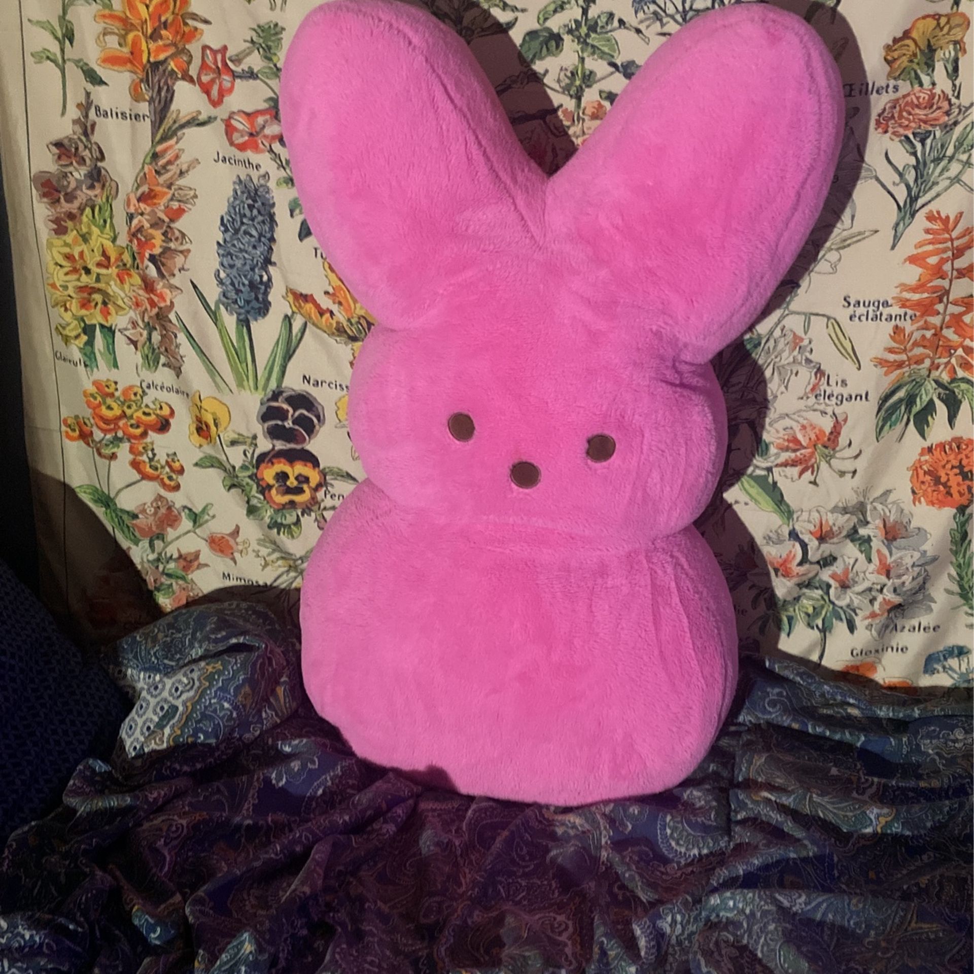 Big Peep Teddy
