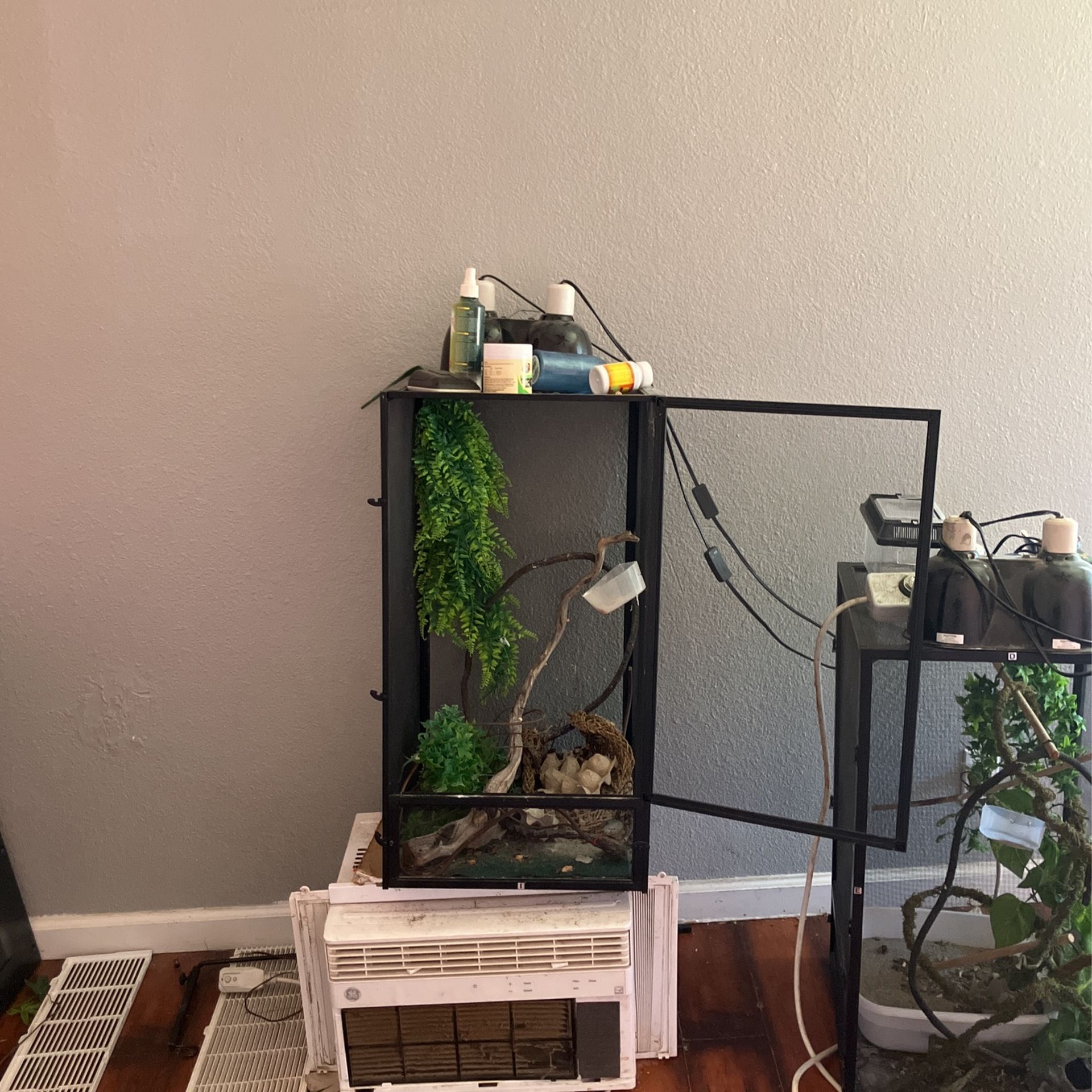 Chameleon Cages