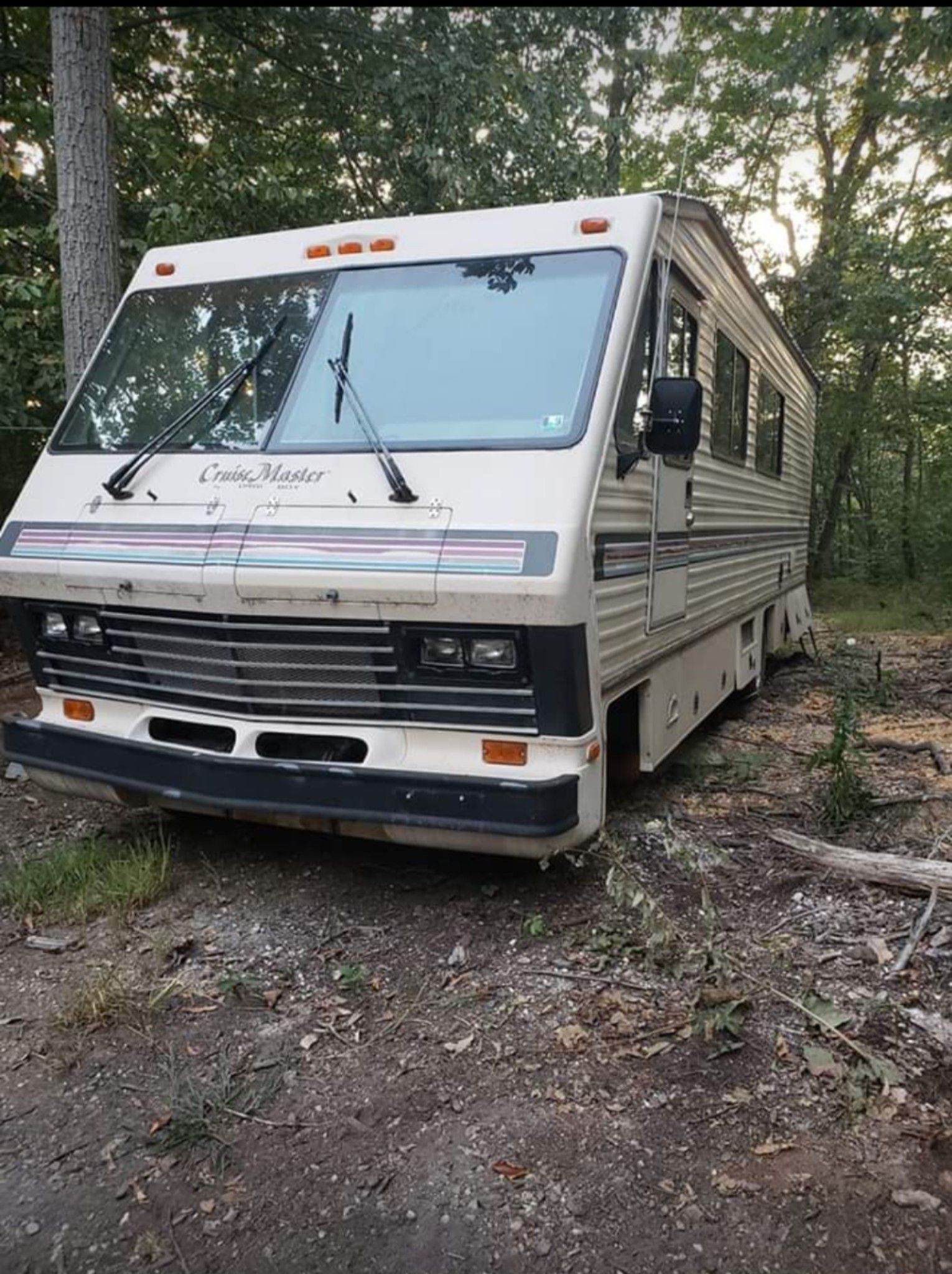 1989 Cruismaster by Georgie Boy motorhome Rv