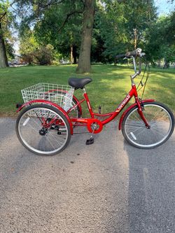 NEW Adult tricycle