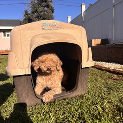 ASPEN Pet Barnhouse For Dogs