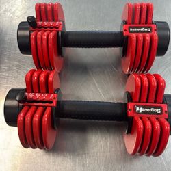 Sogawave Dumbbells