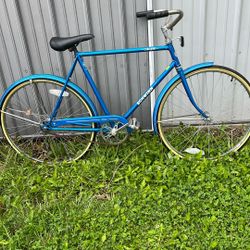 Schwinn Collegiate