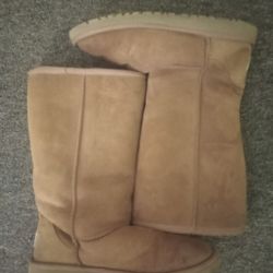 Uggs 