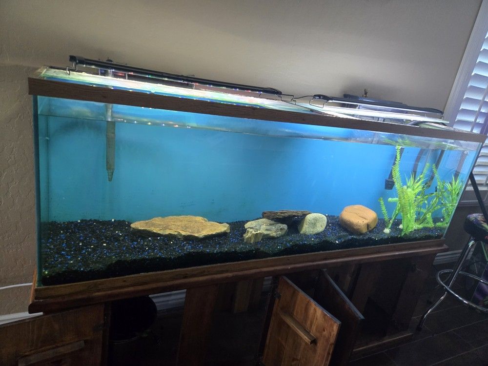 125 Gallon Fish Tank