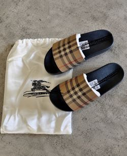 Blueberry Slides
